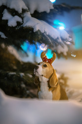 Similar image 21291500