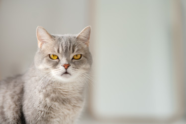 Similar image 21291501