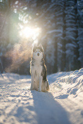 Similar image 21291503