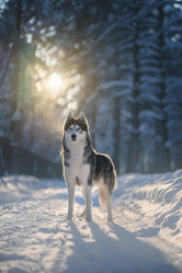 Similar image 21291504