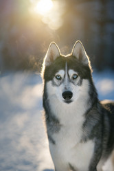 Similar image 21291505