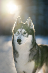 Similar image 21291506