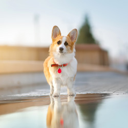 Similar image 21291507