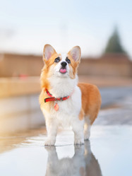 Similar image 21291508