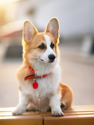 Similar image 21291510