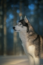 Similar image 21291511