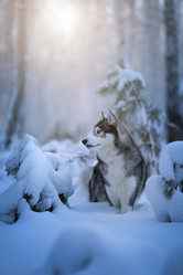 Similar image 21291513