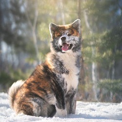 Similar image 21291515