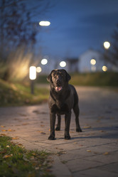 Similar image 21291518