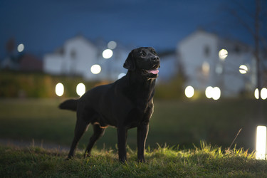 Similar image 21291519