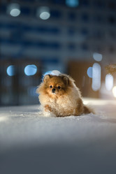 Similar image 21291520