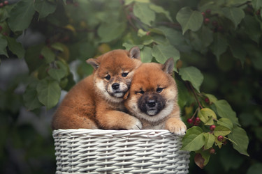 Similar image 21291521