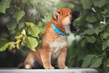 Similar image 21291522