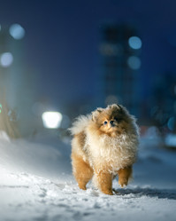 Similar image 21291525