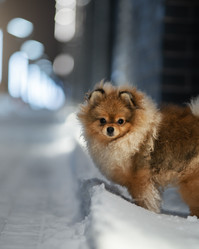 Similar image 21291526