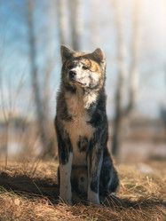 Similar image 21291528