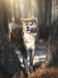 Similar image 21291529