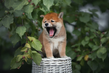 Similar image 21291530