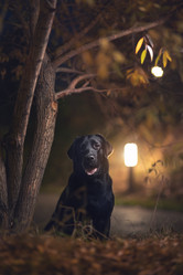 Similar image 21291531