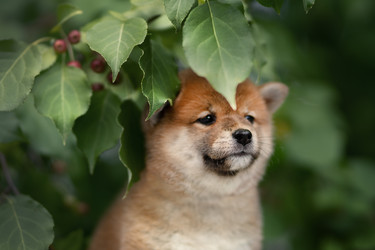 Similar image 21291533