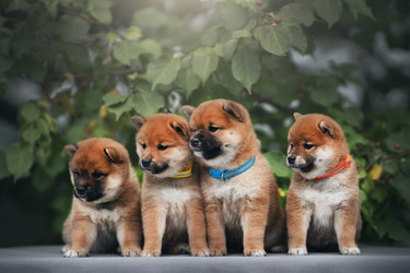 Similar image 21291536