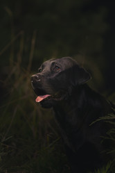 Similar image 21291537