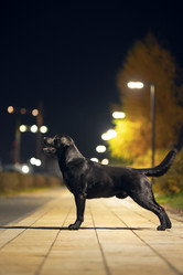 Similar image 21291542