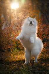 Similar image 21291590