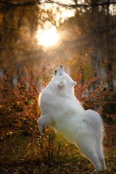 Similar image 21291592