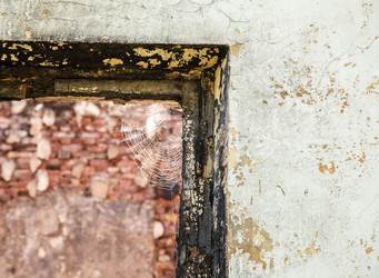 Similar image 21292361