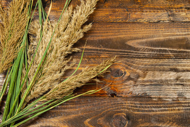 Similar image 21281433