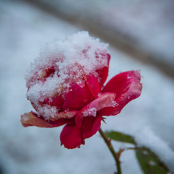 Similar image 21281395