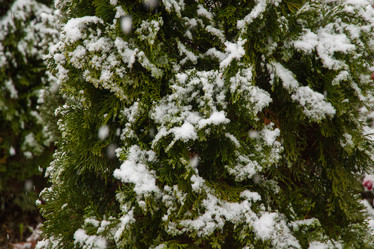 Similar image 21281414