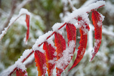 Similar image 21281436