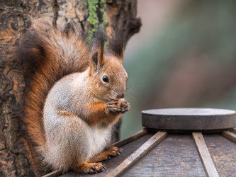 Similar image 21261357