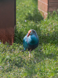 Similar image 21261362