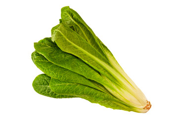 Similar image 21281409