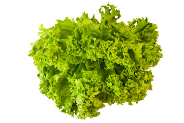 Similar image 21281424