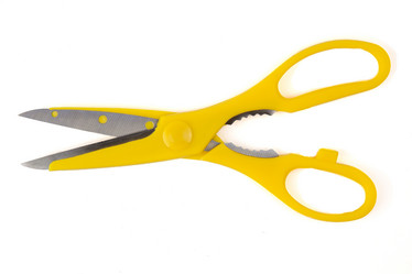 Similar image 21281440