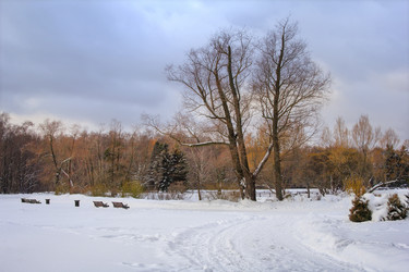 Similar image 21262739