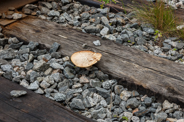 Similar image 21281130