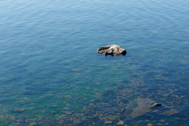 Similar image 21281153