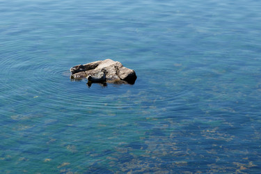 Similar image 21281155