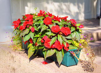 Similar image 21262745