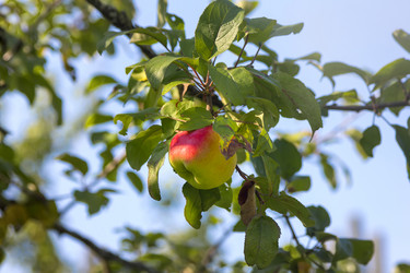 Similar image 21262748