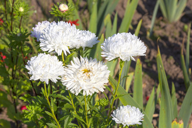 Similar image 21262749