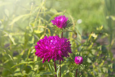 Similar image 21262750