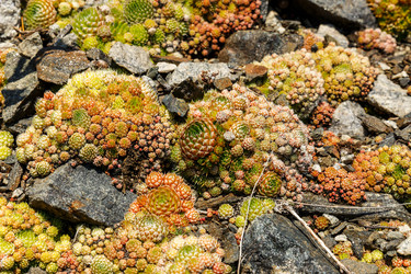 Similar image 21281183