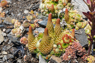 Similar image 21281184