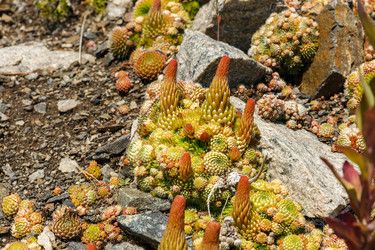 Similar image 21281185